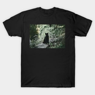 Black Cat Painting T-Shirt